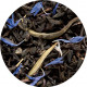 Dammann Frères - Earl Grey Yin Zhen