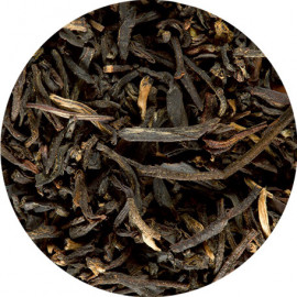 LAPSANG SOUCHONG -Thé noir Dammann Frères