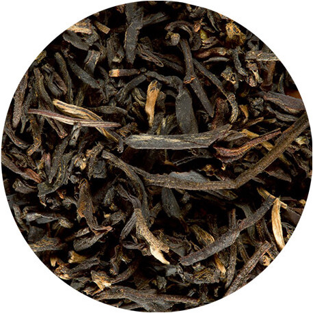 Lapsang souchong -Thé Dammann Frères - Thé noir