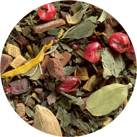 Dammann Frères - Tisane de Noel - Infusion