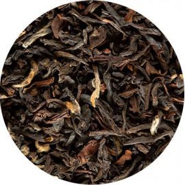 DARJEELING - Thé noir Dammann Frères