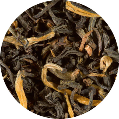 Earl Grey Des Seigneurs - Thé noir Dammann Frères